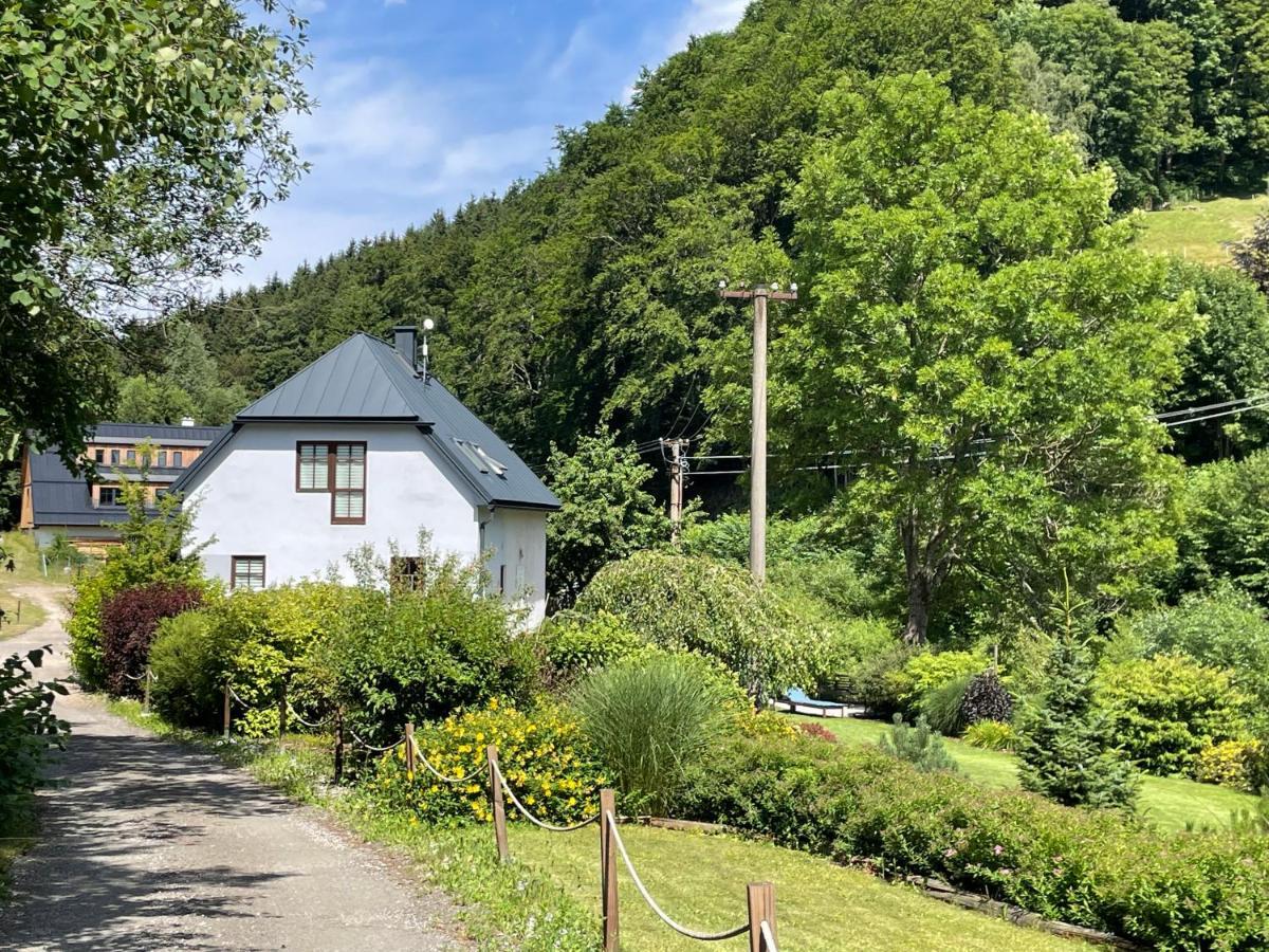 Vila Aja Svoboda nad Úpou Exterior foto